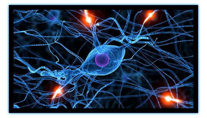 Clinical Research in Neurology: Advancing Patient Care Through Innovation in South Carolina